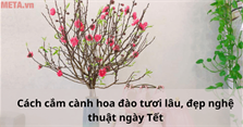Cách cắm cành hoa đào tươi lâu, đẹp nghệ thuật ngày Tết