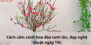 Cách cắm cành hoa đào tươi lâu, đẹp nghệ thuật ngày Tết