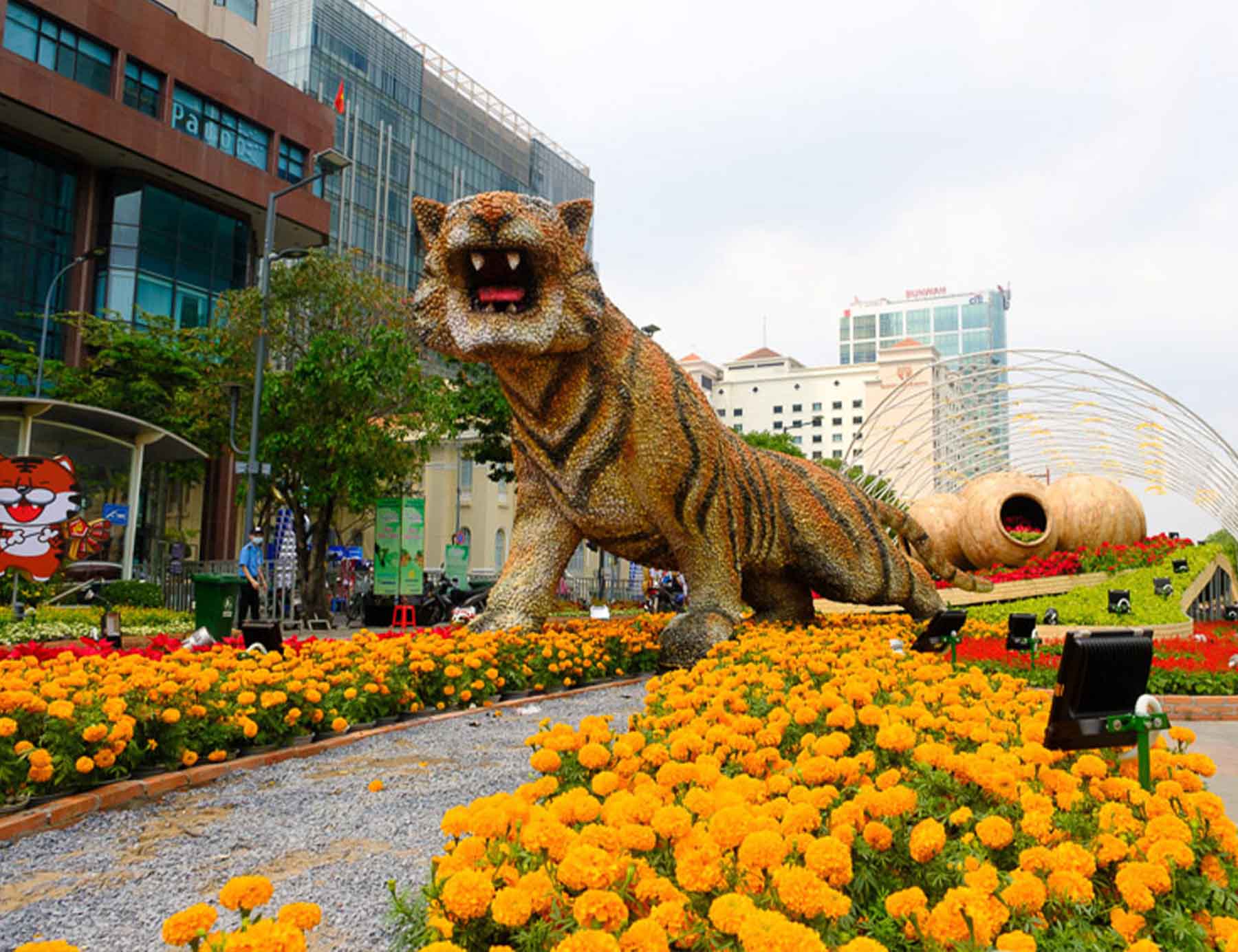 Các mẫu cúc vạn thọ mùa Tết