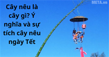Cây nêu là cây gì? Ý nghĩa và sự tích cây nêu ngày Tết