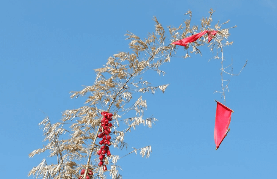 Hình ảnh cây nêu ngày Tết đẹp với tràng pháo đỏ