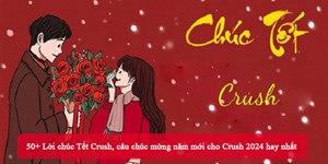 50+ Lời chúc Tết Crush, câu chúc mừng năm mới cho Crush 2024 hay nhất