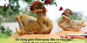 Gà cúng giao thừa quay đầu ra hay vào? Cách để gà cúng giao thừa