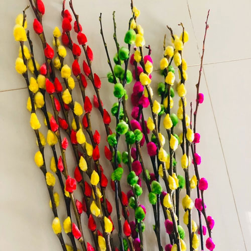 Nụ tầm xuân có mấy màu