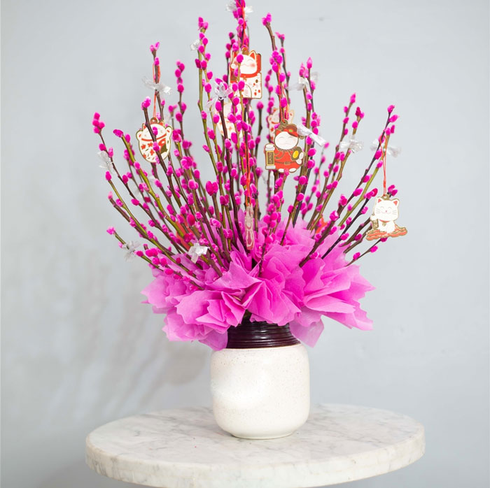 Hình ảnh nụ tầm xuân đẹp chưng Tết 