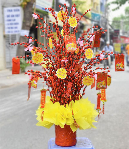 Hình ảnh nụ tầm xuân đẹp chưng Tết 