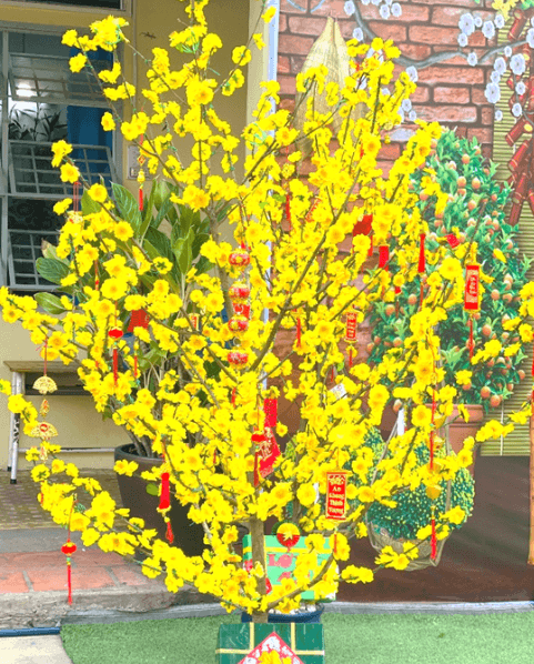 Trang trí cành mai ngày Tết giả tại trường mầm non