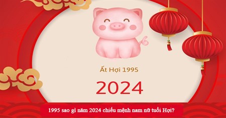 Tử Vi Người Sinh Năm 1995 Năm 2024