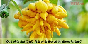 Quả phật thủ là gì? Trái phật thủ ăn được không?