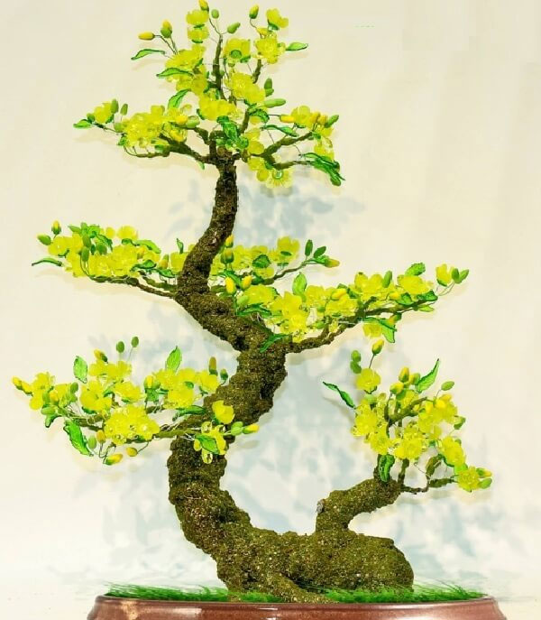 Mai bonsai thế long cuốn thủy