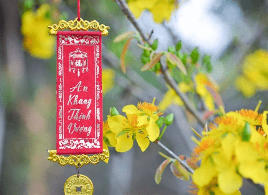 Cách trang trí cây mai ngày Tết bằng liễn (câu đối)