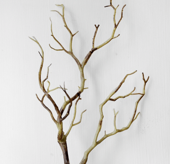 Chọn cành cây để làm cây hoa mai giả