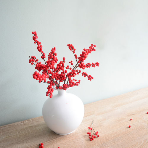 Những hình ảnh đào đông đỏ đẹp nhất