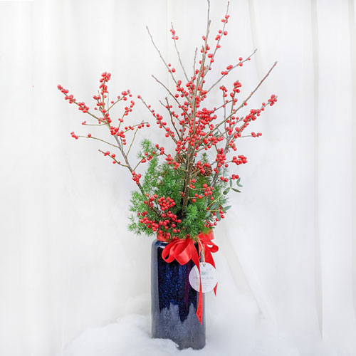 Những hình ảnh đào đông đỏ đẹp nhất