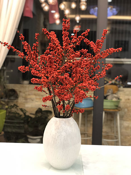 Những hình ảnh đào đông đỏ đẹp nhất