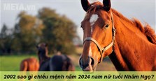 2002 sao gì chiếu mệnh năm 2024 nam nữ tuổi Nhâm Ngọ?