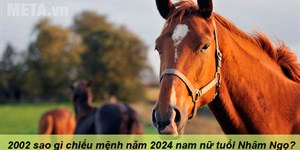 2002 sao gì chiếu mệnh năm 2024 nam nữ tuổi Nhâm Ngọ?