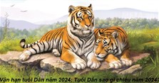 Vận hạn tuổi Dần năm 2024: Tuổi Dần sao gì chiếu năm 2024?