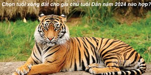 Chọn tuổi xông đất cho gia chủ tuổi Dần năm 2024 nào hợp?