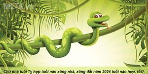 Chủ nhà tuổi Tỵ hợp tuổi nào xông nhà, xông đất năm 2024 tuổi nào hợp, tốt?