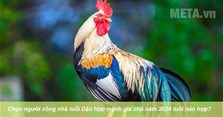 Chọn người xông nhà tuổi Dậu hợp mệnh gia chủ năm 2024 tuổi nào hợp?