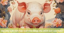 Gia chủ tuổi Hợi hợp tuổi nào xông nhà 2024 tuổi nào hợp?