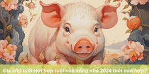 Gia chủ tuổi Hợi hợp tuổi nào xông nhà 2024 tuổi nào hợp?