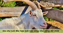 Gia chủ tuổi Mùi hợp tuổi nào xông nhà, xông đất 2024 hợp tuổi?