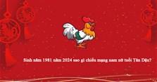 Sinh năm 1981 năm 2024 sao gì chiếu mạng nam nữ tuổi Tân Dậu?