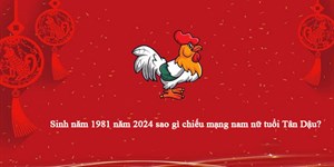 Sinh năm 1981 năm 2024 sao gì chiếu mạng nam nữ tuổi Tân Dậu?