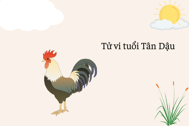 Thông tin chung tuổi Tân Dậu 1981 nam mạng Thông tin chung tuổi Tân Dậu 1981 nam mạng