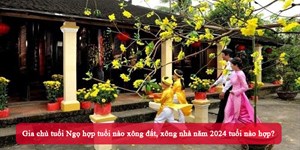 Gia chủ tuổi Ngọ hợp tuổi nào xông đất, xông nhà năm 2024 tuổi nào hợp?