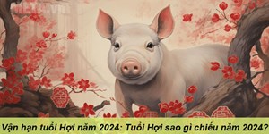 Vận hạn tuổi Hợi năm 2024: Tuổi Hợi sao gì chiếu năm 2024?