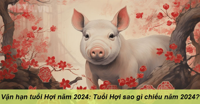 Vận hạn tuổi Hợi năm 2024