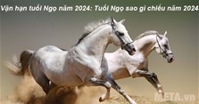 Vận hạn tuổi Ngọ năm 2024: Tuổi Ngọ sao gì chiếu năm 2024?
