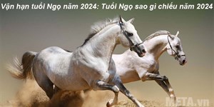 Vận hạn tuổi Ngọ năm 2024: Tuổi Ngọ sao gì chiếu năm 2024?