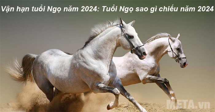 Vận hạn tuổi Ngọ năm 2024