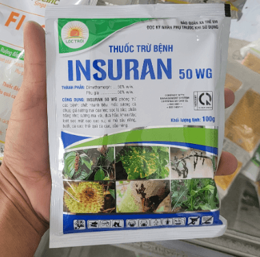 Dùng thêm thuốc Insuran hoặc Ridomin phun lên cây mai để đánh bật nấm