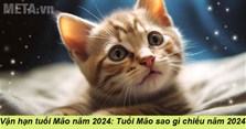 Vận hạn tuổi Mão năm 2024: Tuổi Mão sao gì chiếu năm 2024?