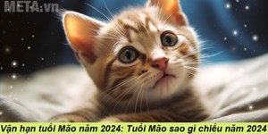 Vận hạn tuổi Mão năm 2024: Tuổi Mão sao gì chiếu năm 2024?