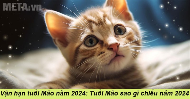 Vận hạn tuổi Mão năm 2024: Tuổi Mão sao gì chiếu năm 2024?