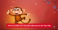 2004 sao gì năm 2024? Sao chiếu mệnh nam nữ tuổi Giáp Thân