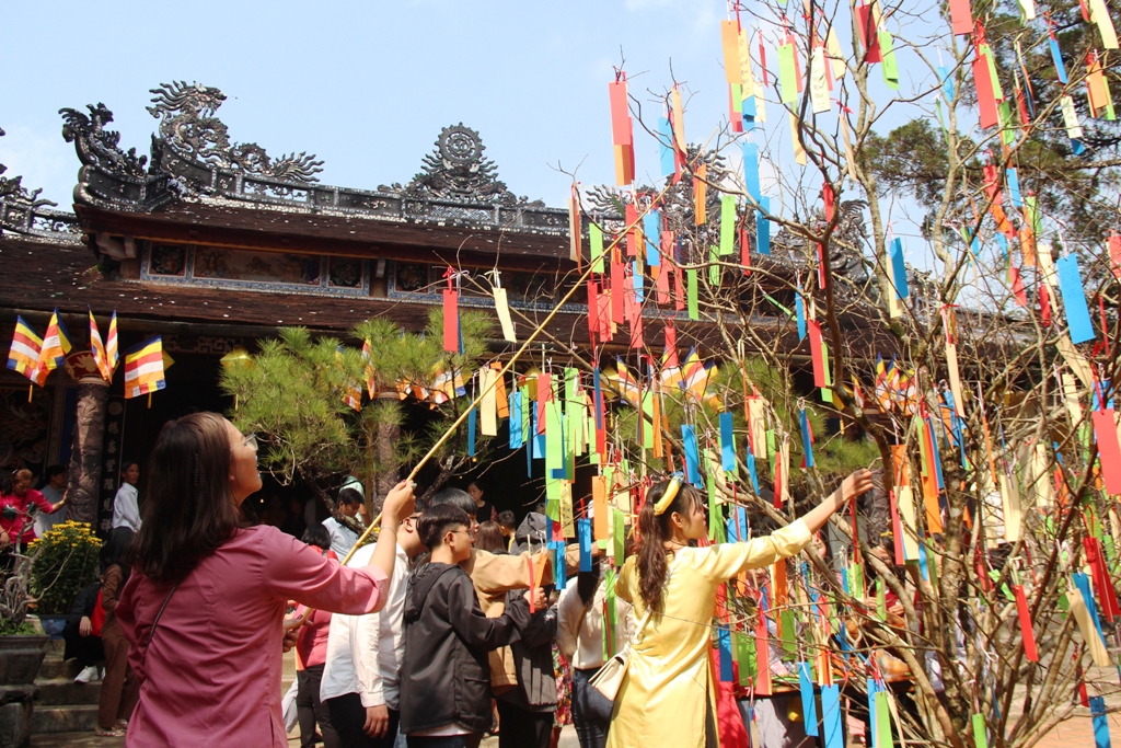 Hái lộc cũng là một phong tục truyền thống vào đêm giao thừa