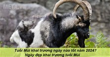 Tuổi Mùi khai trương ngày nào tốt năm 2024? Ngày đẹp khai trương tuổi Mùi