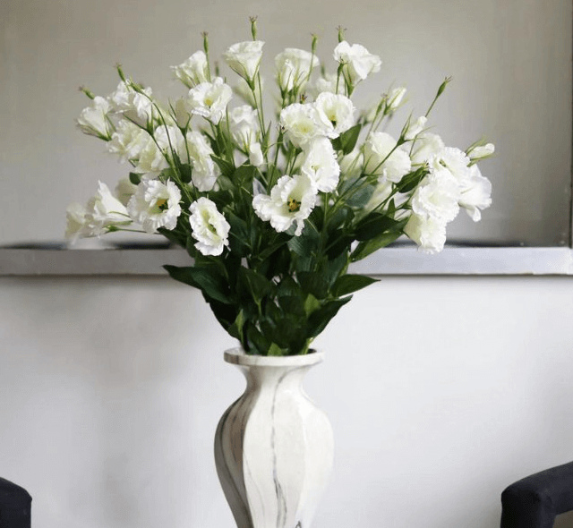 Cách cắm lan tường đẹp