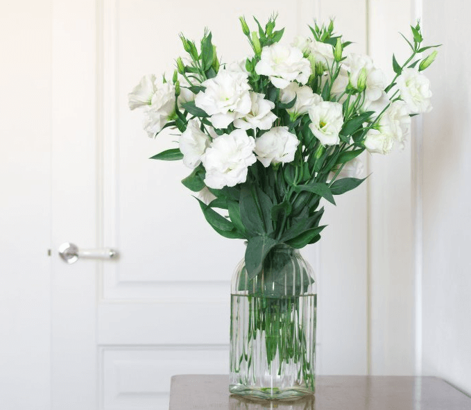 Cách cắm hoa cát tường trắng đơn giản