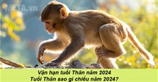 Vận hạn tuổi Thân năm 2024: Tuổi Thân sao gì chiếu năm 2024?