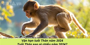 Vận hạn tuổi Thân năm 2024: Tuổi Thân sao gì chiếu năm 2024?