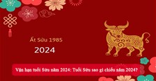 Vận hạn tuổi Sửu năm 2024: Tuổi Sửu sao gì chiếu năm 2024?