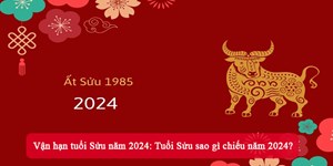 Vận hạn tuổi Sửu năm 2024: Tuổi Sửu sao gì chiếu năm 2024?